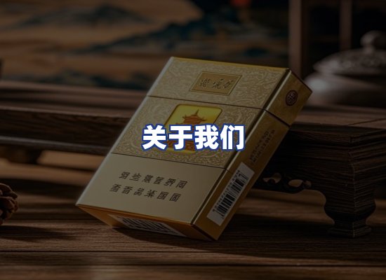 专业团队